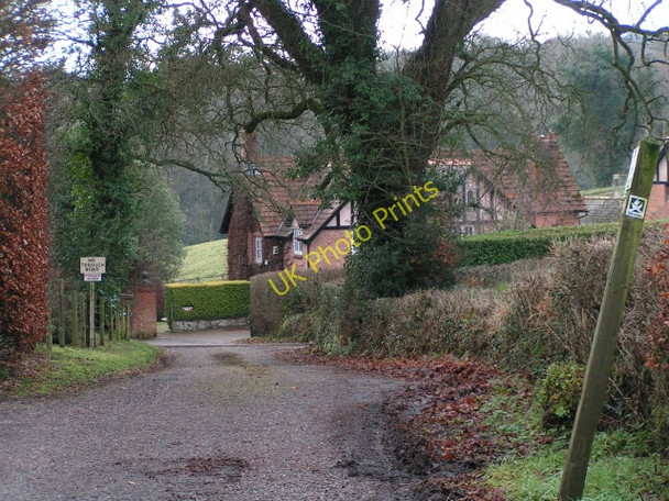 Photo 6"x4" The lane to Lowlands Coombelake c2010