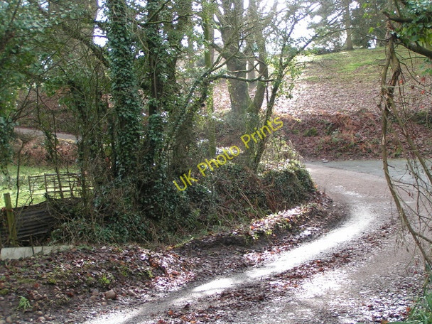 Photo 6"x4" Mud and sunlight on Toadpit Lane West Hill\/SY0694 c2010
