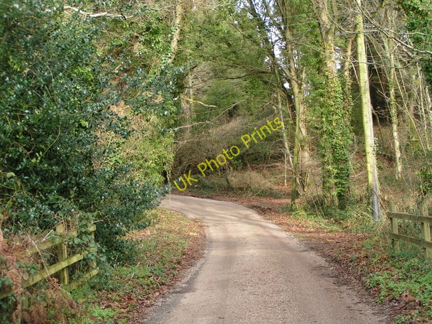 Photo 6"x4" Toadpit Lane heading towards the Ottery St Mary road West Hill\/SY0694 c2010