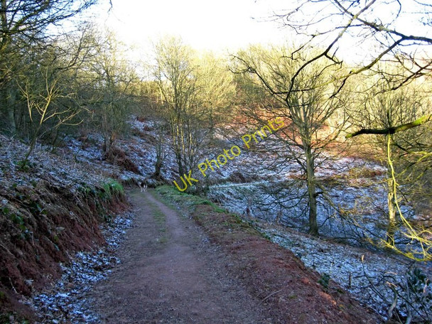 Photo 6"x4" Footpath on Kinver Edge Kinver c2010
