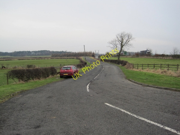 Photo 6"x4" Road to South Charlton South Charlton c2010