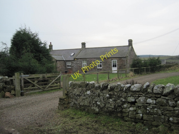 Photo 6"x4" Cottage at North Charlton North Charlton c2010