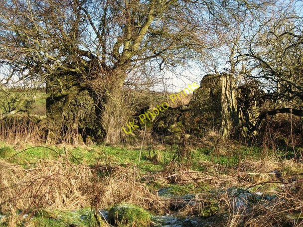 Photo 6"x4" Craighead Farm (ruin) Abronhill c2010