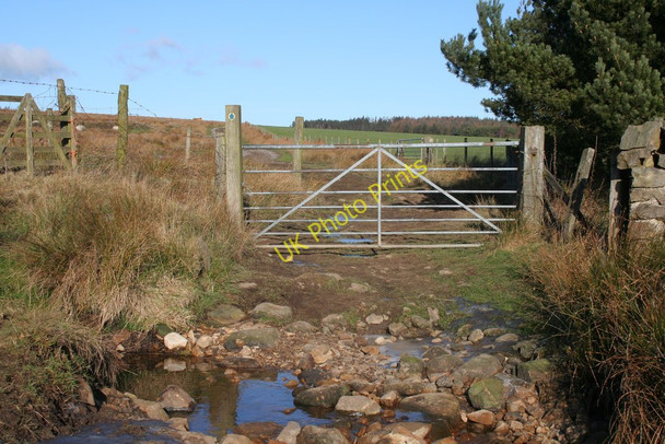 Photo 6"x4" Bridleway, Lindley Moor Braythorn c2010