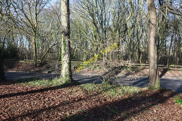 Photo 6"x4" Forty Hill, Enfield Enfield\/TQ3396 c2010