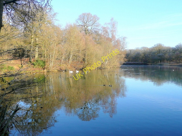 Photo 6"x4" Cannop upper pond 2 Cannop c2010