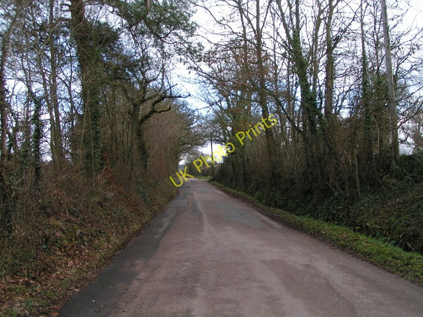 Photo 6"x4" Lane to Aylesbeare Aylesbeare c2010