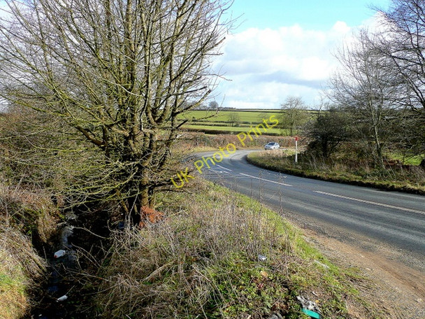 Photo 6"x4" Road to Street Ash Street Ash c2010