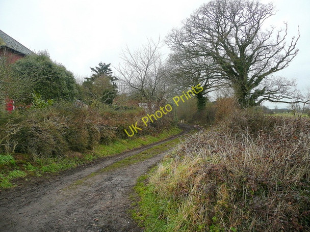 Photo 6"x4" Footpath north from Back Lane Harpford c2010