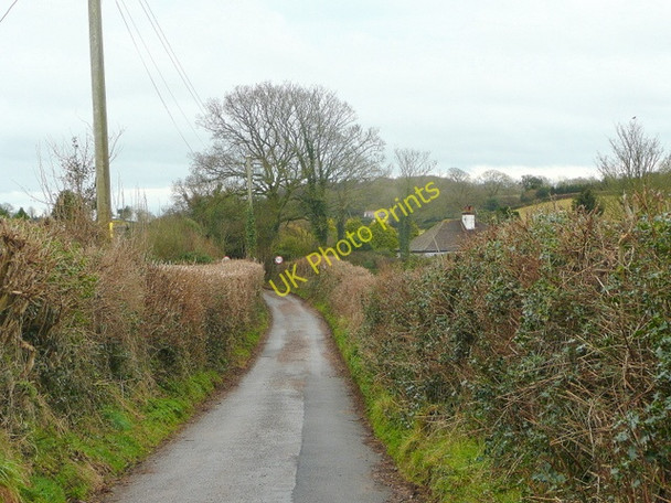 Photo 6"x4" Lane to Burrow Burrow\/SY0789 c2010