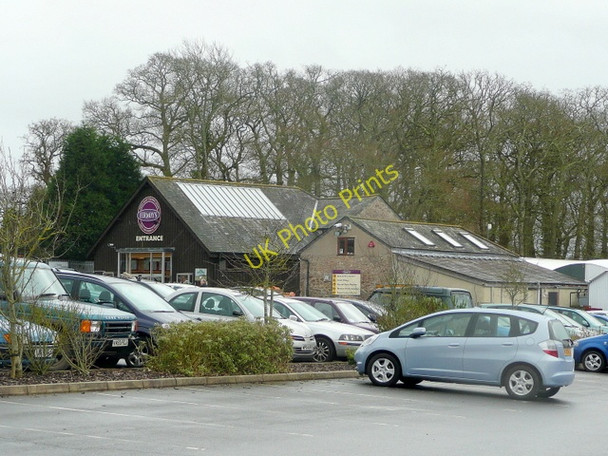 Photo 6"x4" Fermoys Garden Centre Two Mile Oak Cross c2010