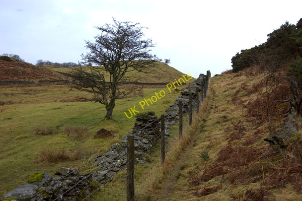 Photo 6"x4" Footpath near Birkmoss Plantation Crosthwaite c2010