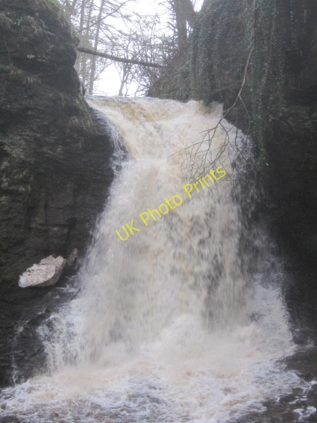 Photo 6"x4" Hareshaw Linn Bellingham\/NY8383 c2010