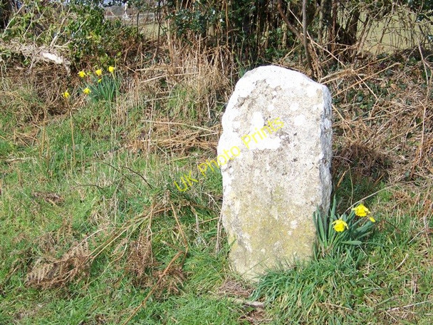 Photo 6"x4" Boundary stone near Lytchett Matravers Lytchett Matravers c2010