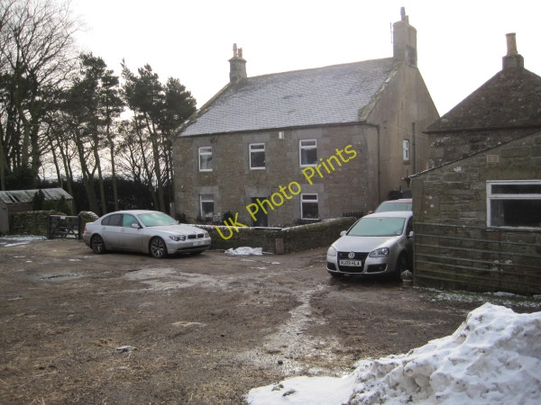 Photo 6"x4" Blakelaw Farm Bellingham\/NY8383 c2010