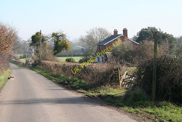 Photo 6"x4" The  Road to the Castle at Hanley Brotheridge Green c2008