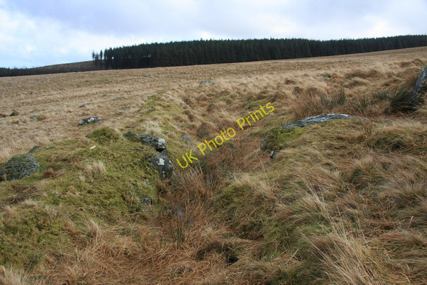 Photo 6"x4" Birch Tor and Vitifer Leat Postbridge c2010