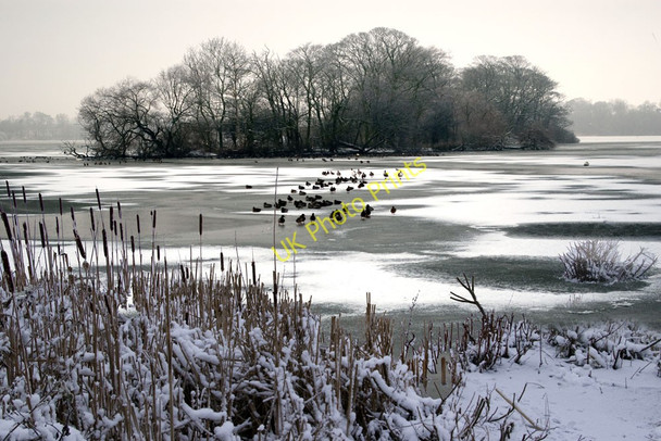 Photo 6"x4" Swan Island Hornsea Mere Hornsea c2009