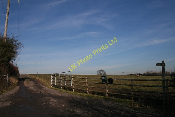 Photo 6"x4" The Track to Tuck Mill Brotheridge Green c2008