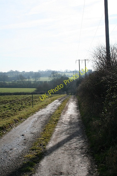 Photo 6"x4" The Track from Tuck Mill Brotheridge Green c2008