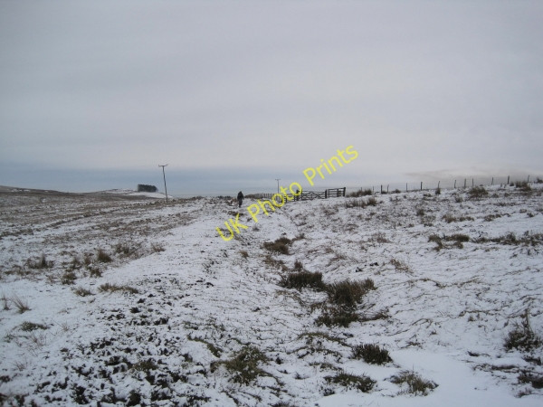 Photo 6"x4" Footpath towards Hainingrigg Bellingham\/NY8383 c2010