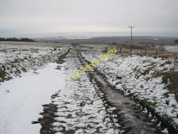 Photo 6"x4" Footpath towards Hainingrigg Bellingham\/NY8383 c2010