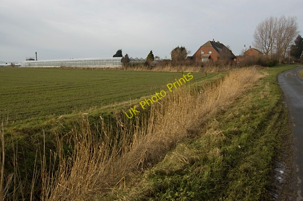 Photo 6"x4" Marsh Lane, Keyingham Berrygate Hill c2010