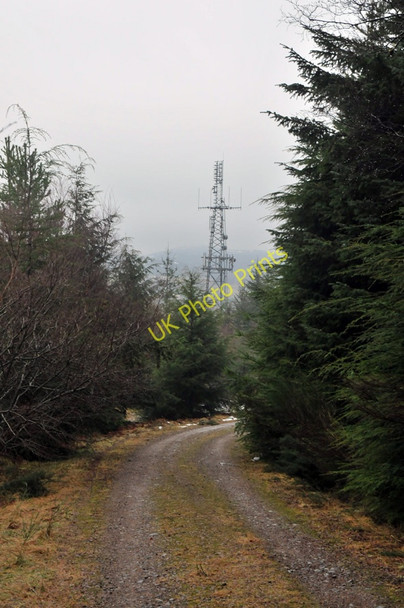 Photo 6"x4" Forestry road and transmitter in Lochletter Wood Balnain\/NH4430 c2010