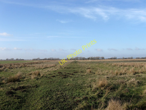 Photo 6"x4" Road Marsh Beachlands c2010