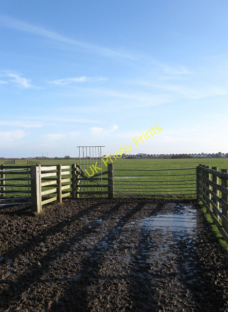 Photo 6"x4" Sheep Pen, Pound Piece Beachlands c2010