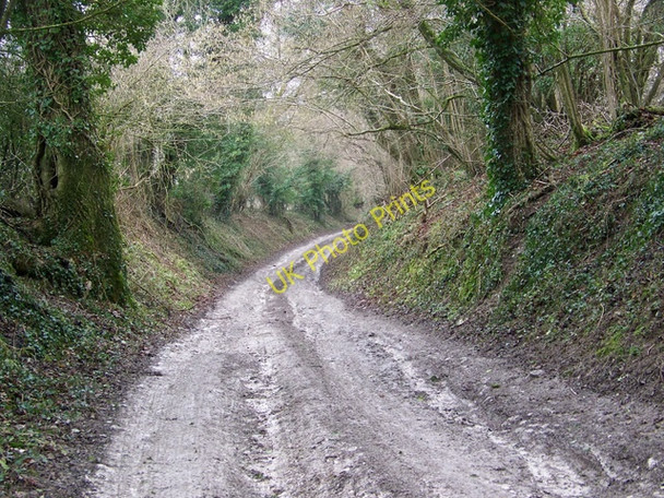 Photo 6"x4" Track near Wood House Hanging Woodminton c2010