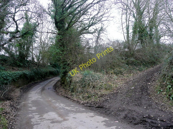 Photo 6"x4" Springetts Lane Ross-on-Wye c2010