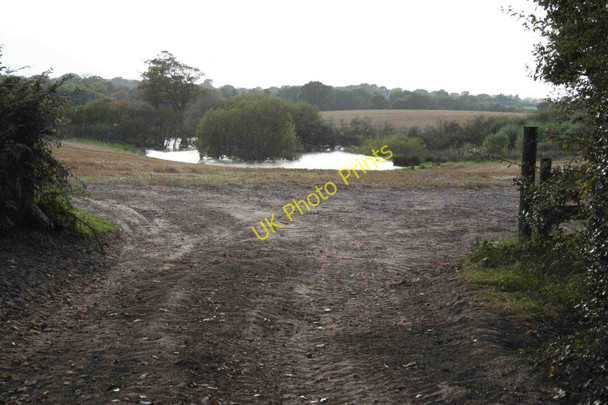 Photo 6"x4" Fishing pond Checkley Green c2009