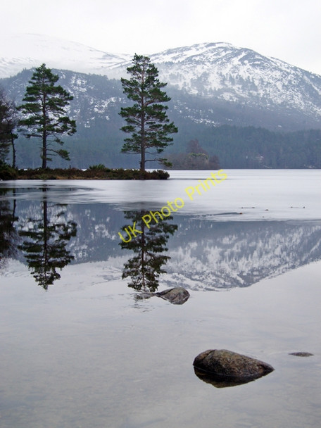 Photo 6"x4" Loch an Eilein Doune\/NH8809 c2010