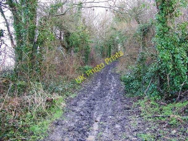Photo 6"x4" Slate Lane Downhead\/ST5625 c2010