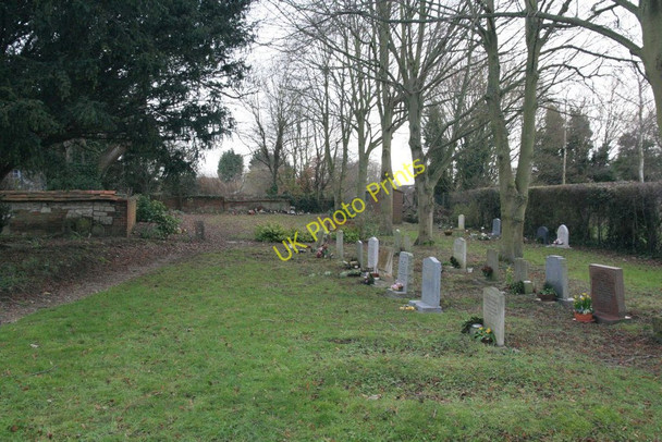 Photo 6"x4" Headstones by the trees Chilton\/SU4885 c2010