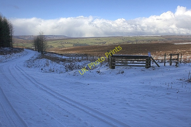 Photo 6"x4" Track Junction, Rievaulx Bank Roppa Wood c2010