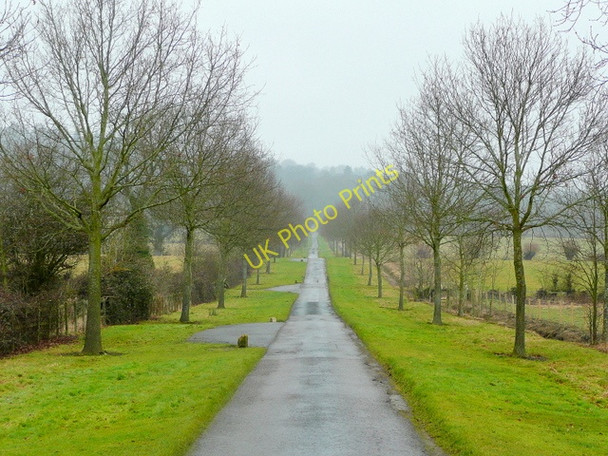 Photo 6"x4" Drive to Batsford Arboretum 2 Batsford c2010