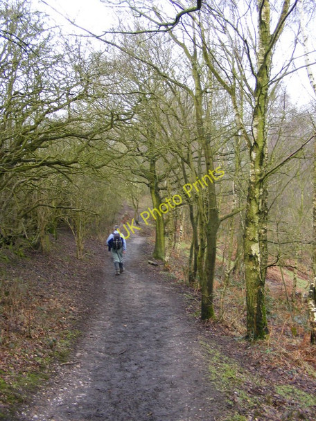 Photo 6"x4" Downs Banks Path Barlaston c2010
