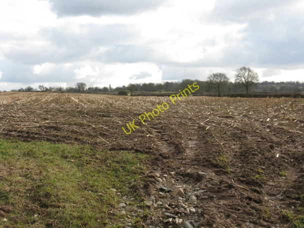 Photo 6"x4" Stubble Field Near Upton Court Middleton on the Hill c2010