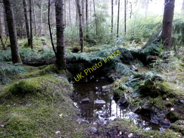 Photo 6"x4" Outflow from Balconie Well Evanton\/Baile-Eoghain c2010