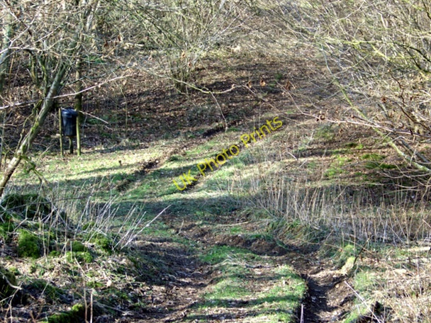 Photo 6"x4" Track, Rough Lawn Newtown\/ST9129 c2010