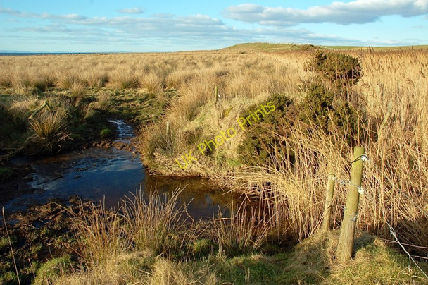 Photo 6"x4" Draining the Marsh Emer's Isle c2010