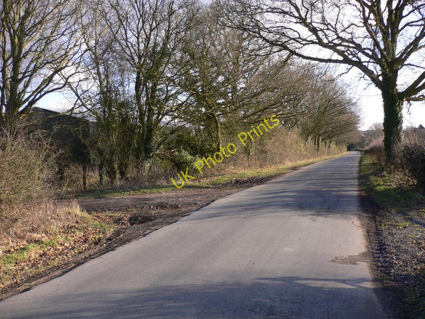 Photo 6"x4" Sickles Lane Kingsley\/SU7838 c2010