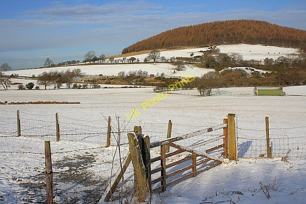 Photo 6"x4" Gate on Bank Lane Heathwaite\/NZ4801 c2010