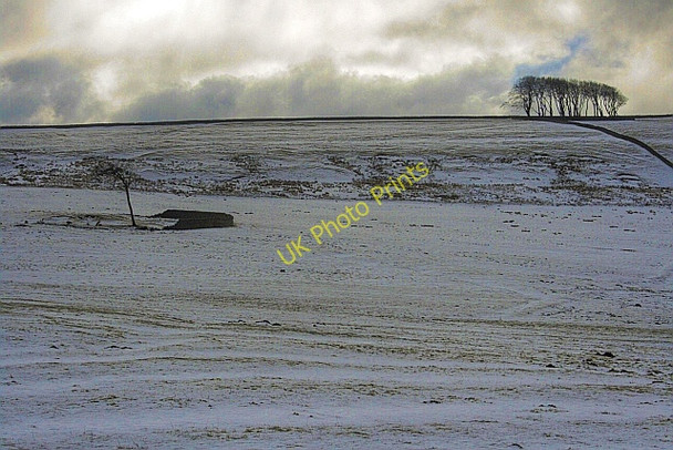Photo 6"x4" Ruined Sheepfold and Elephant Trees Hill End\/NZ0135 c2010
