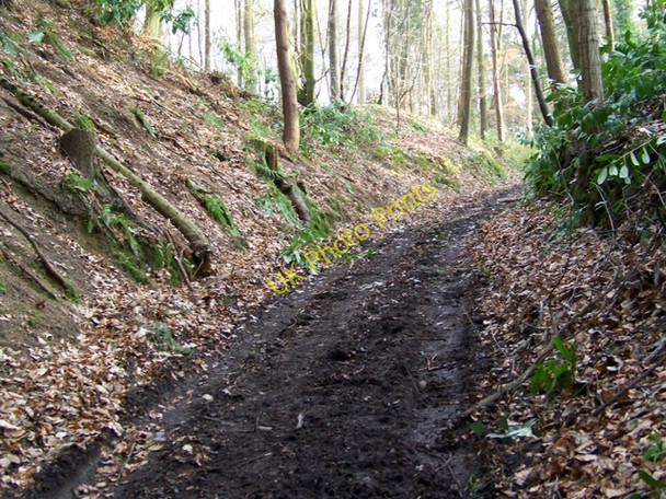 Photo 6"x4" Footpath near Old Wardour Castle Ansty\/ST9526 c2010