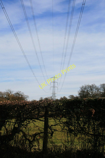 Photo 6"x4" Hedge and power lines Adlington\/SJ9180 c2010