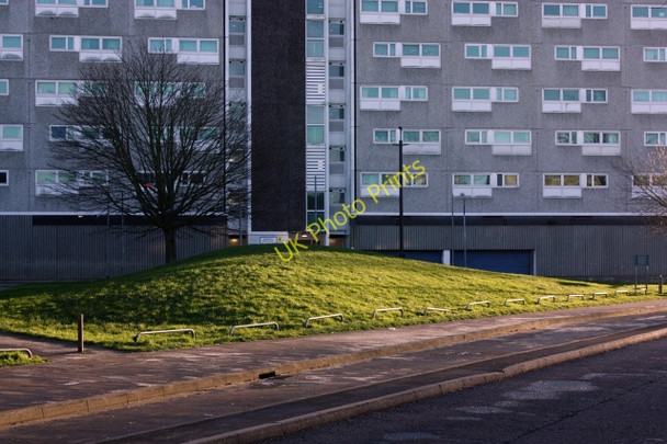 Photo 6"x4" Grassy knoll north of Shirley Towers Southampton c2009