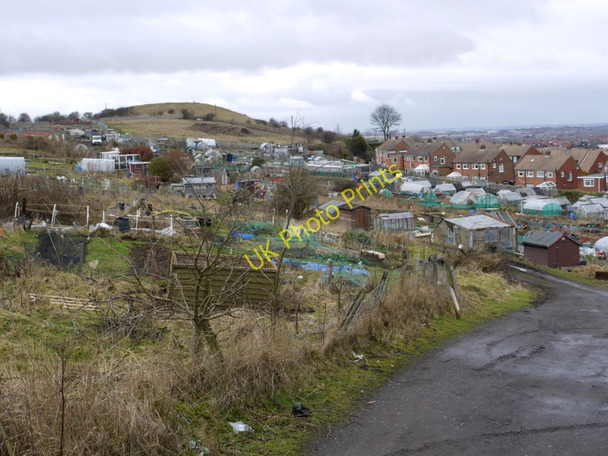 Photo 6"x4" Allotments, Tunstall Hills Hillview\/NZ3954 c2010